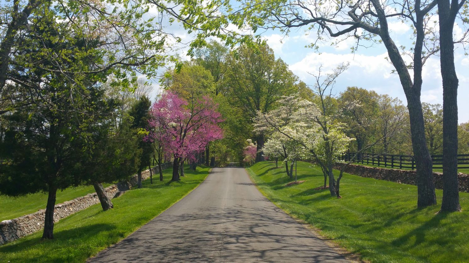 Scenic Virginia: Saturday, March 26, 2016